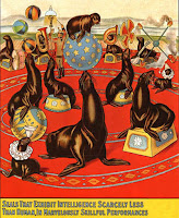 trained seals trained seals