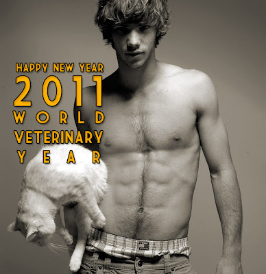 happy 2011