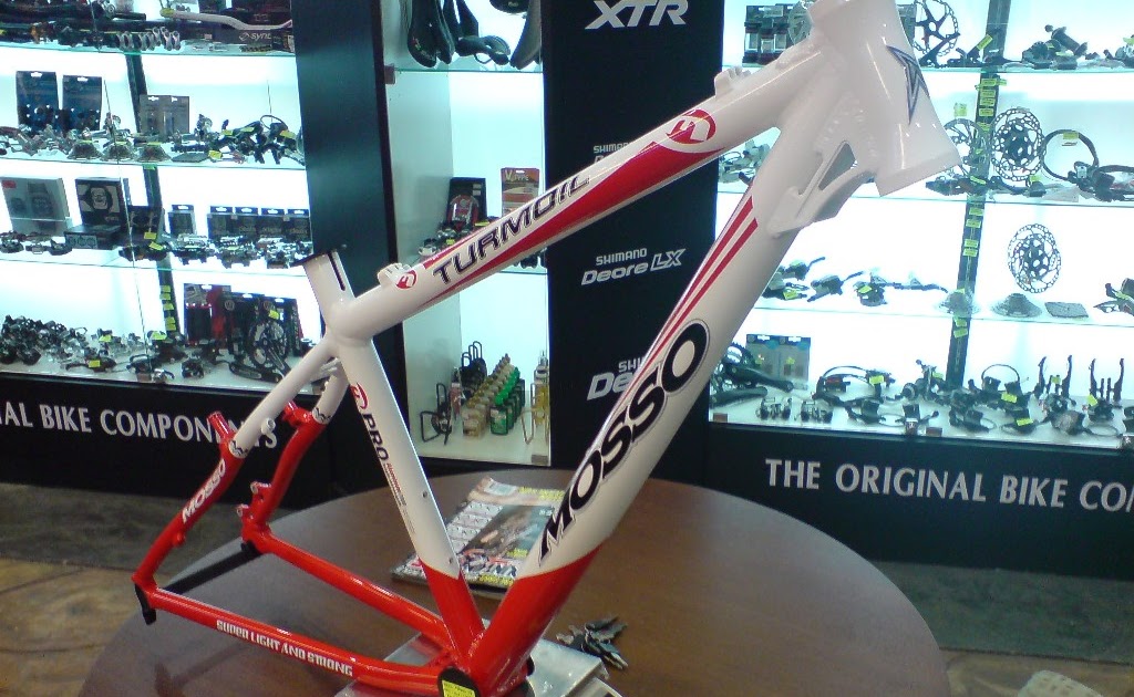 Xplorer Mosso Cheap n Lightweight Mountain Bike Frame