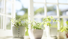 Energy Saving Tips
