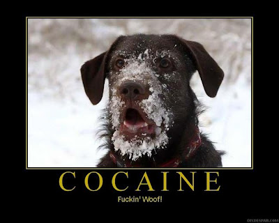 Cocaine Demotivational Poster