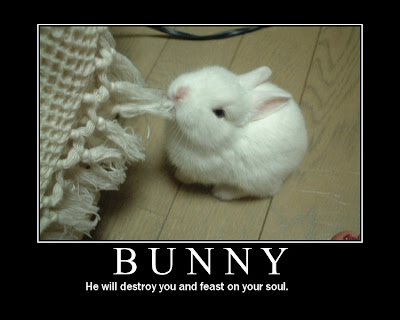 Bunny Demotivational Poster