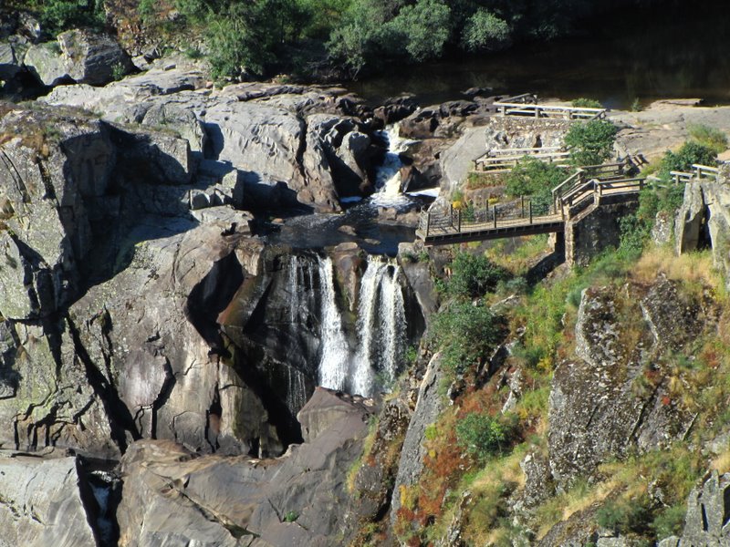 NATURALEZA SALVAJE: junio 2010