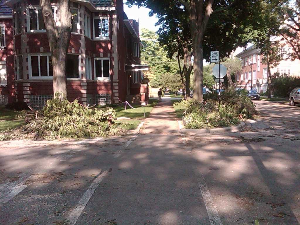 [IMG00012-20090622-1737.jpg]