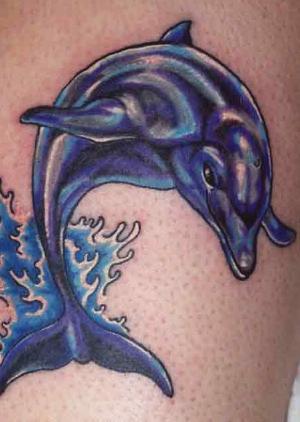 Dolphin Tattoos3 Dolphin Tattoos