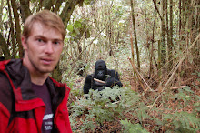 Me and a Silverback Gorilla in DRC