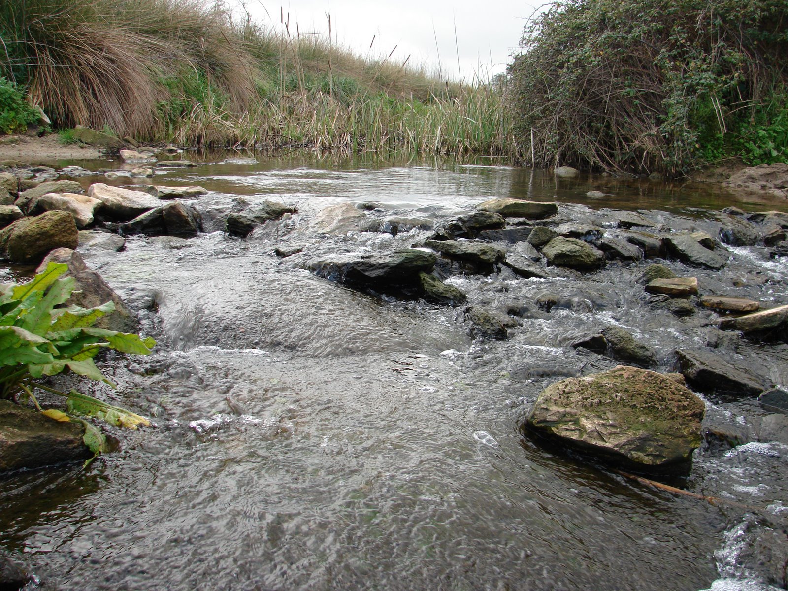 [DSC02163.JPG]