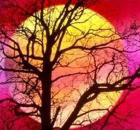 Nokia Maps Under Fire