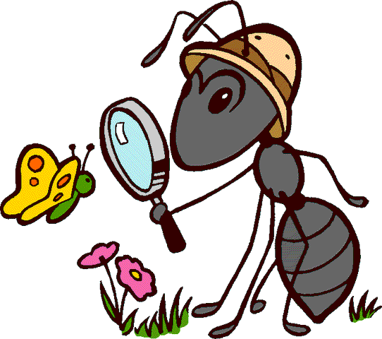 ANT BITES STINGS ALLERGIC