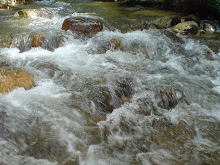 Ulu Yam Lake