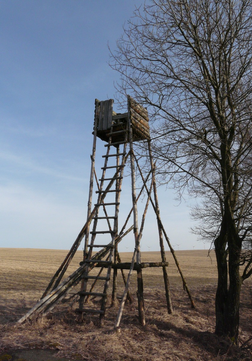 [P1000335.jpg]