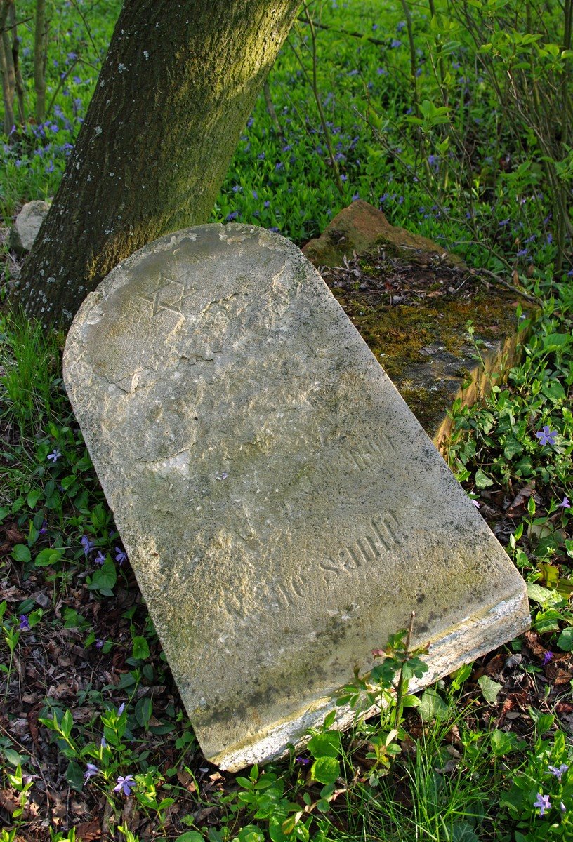 [IMGP1475.jpg]