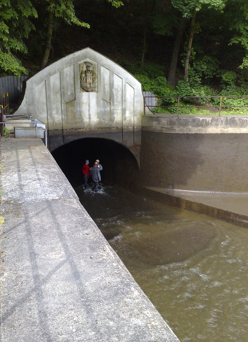 [28052008818.jpg]