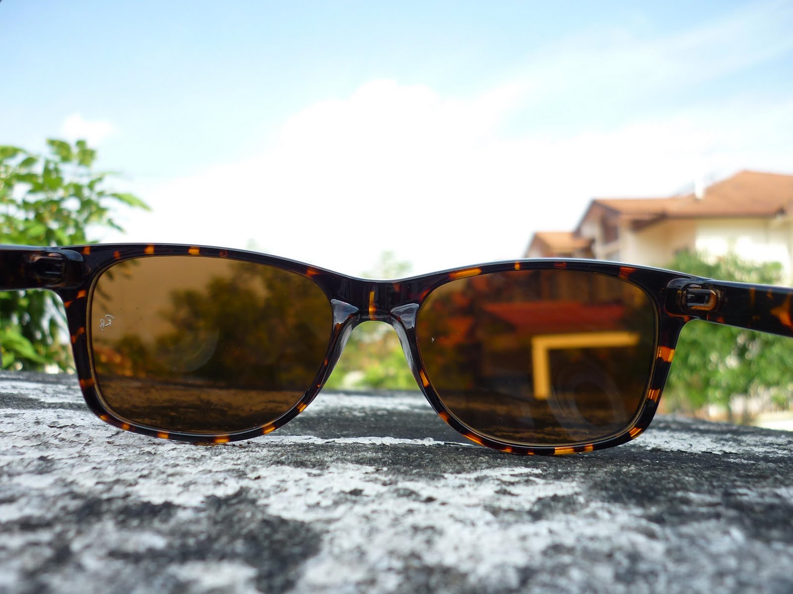 kickazz sunglasses sunglasses wayfarer brown lenses tortoise frame