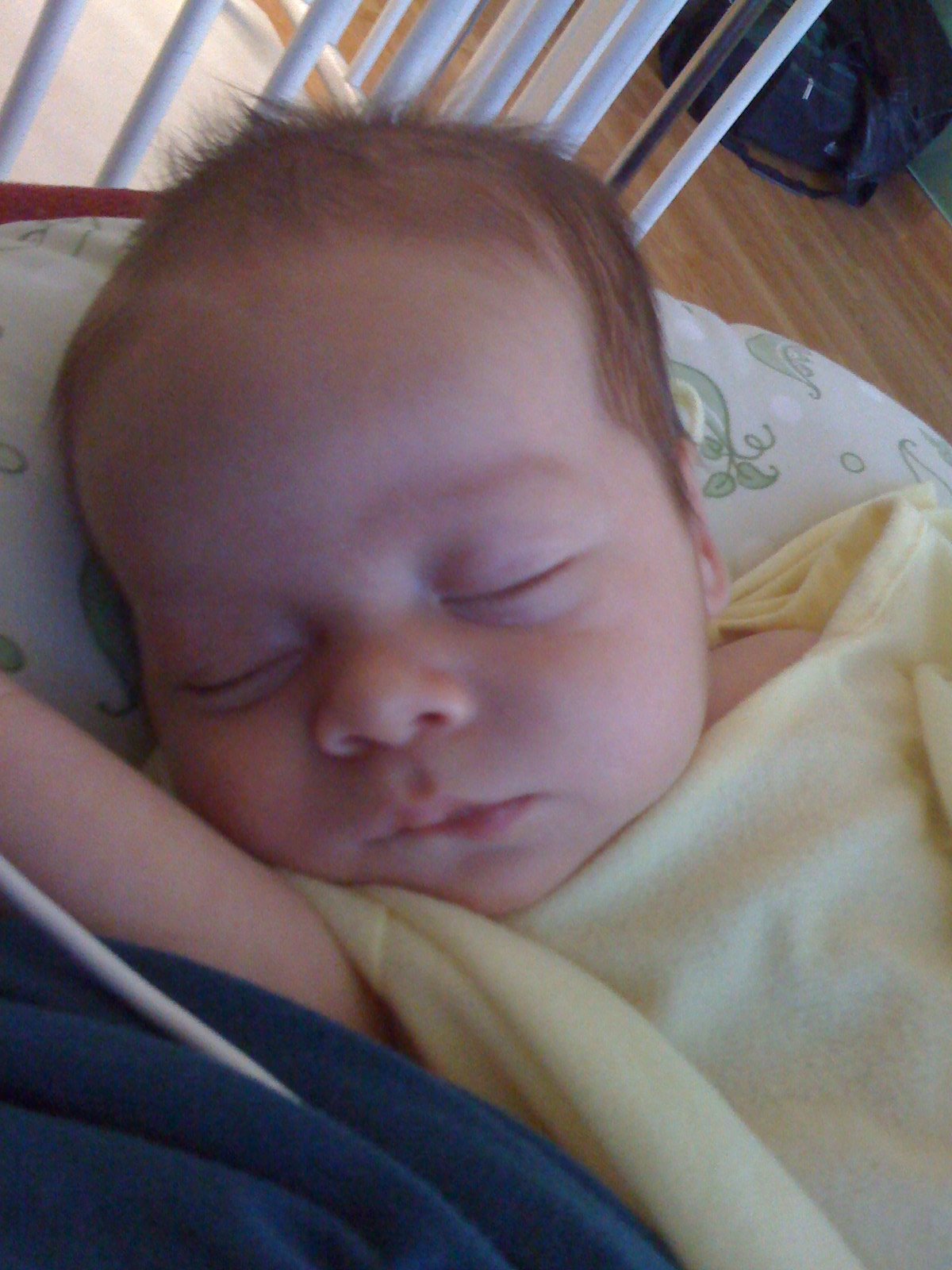 [IMG_0320+copy.JPG]