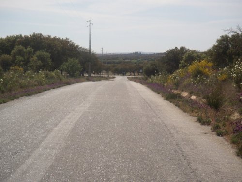[DSCN4379.JPG]