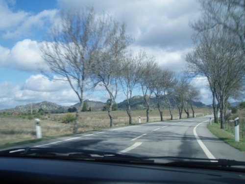 [P1010017.JPG]