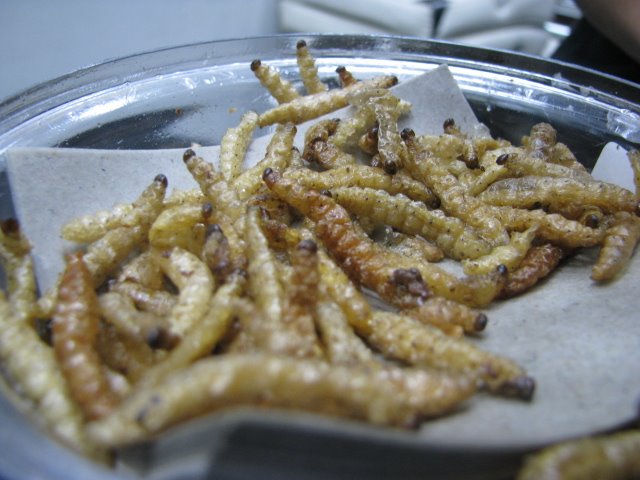 [IMG_0590.JPG]