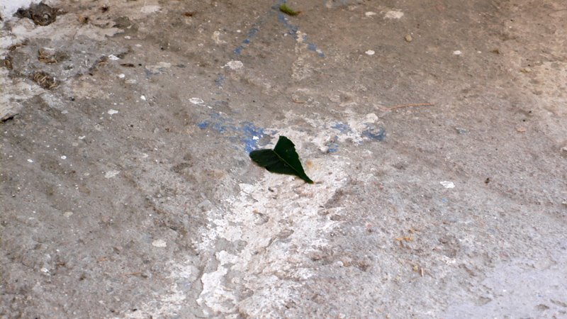 [L1210898.jpg]