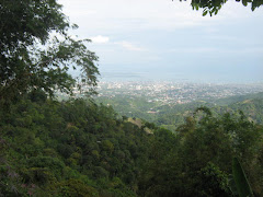A View of Cebu City from Babag Uno