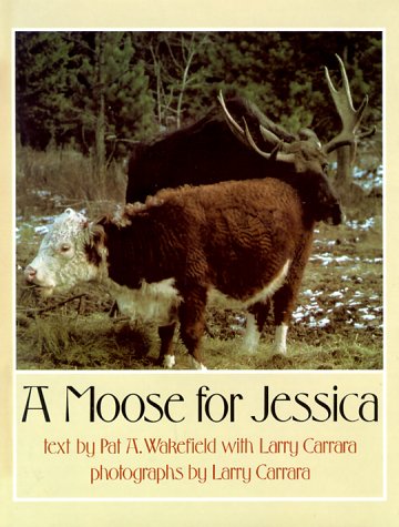i love cows essay contest i love cows essay contest