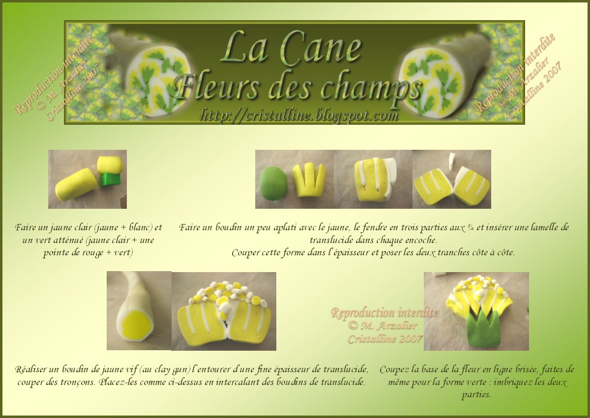 [tuto_fleurchamp1.jpg]
