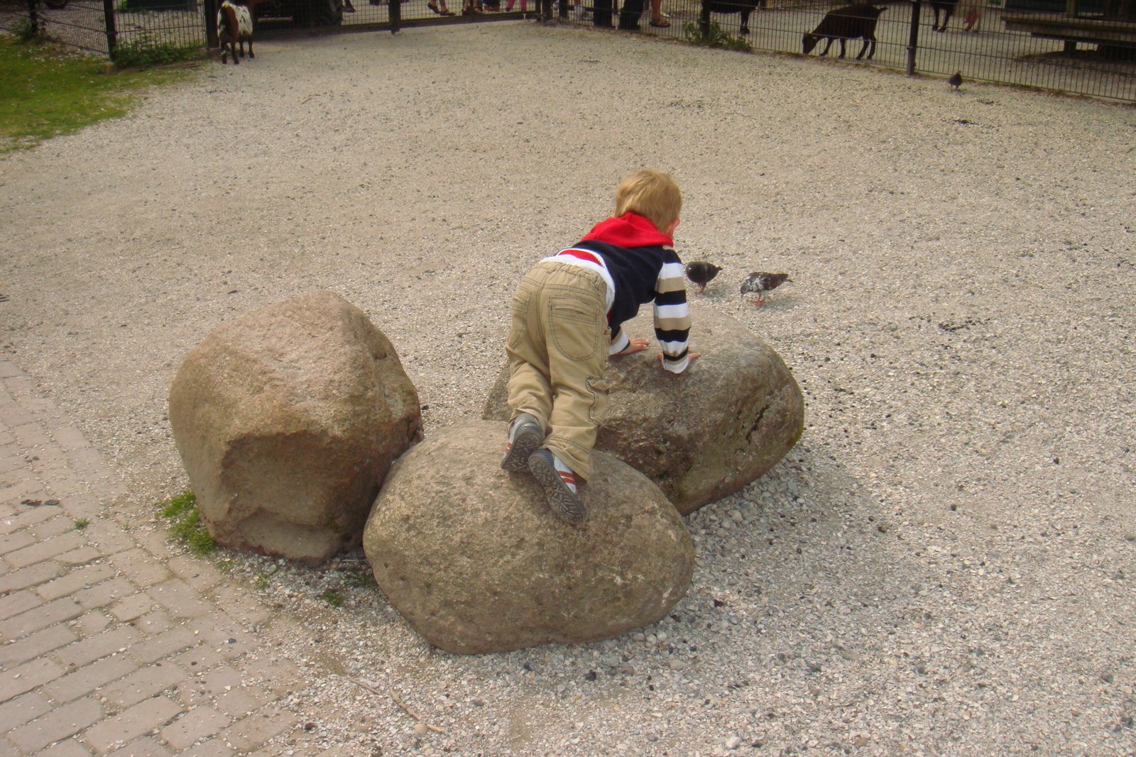 [DSC01533.JPG]