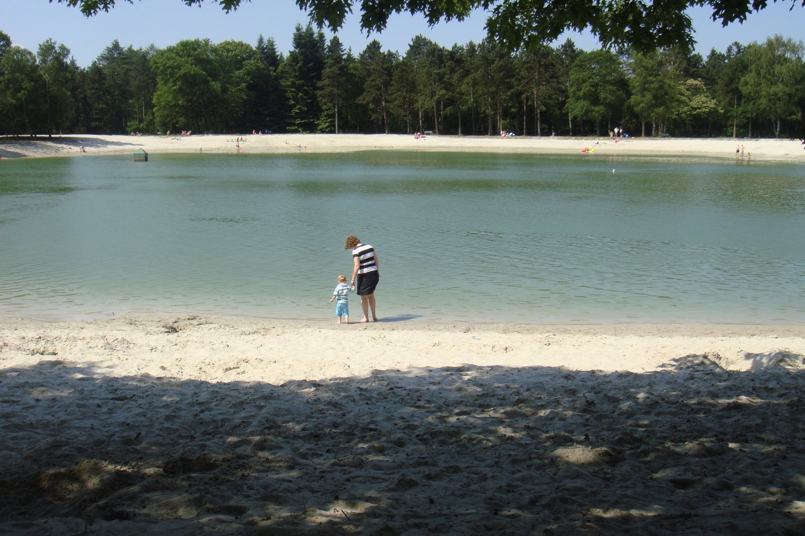 [DSC01980.JPG]
