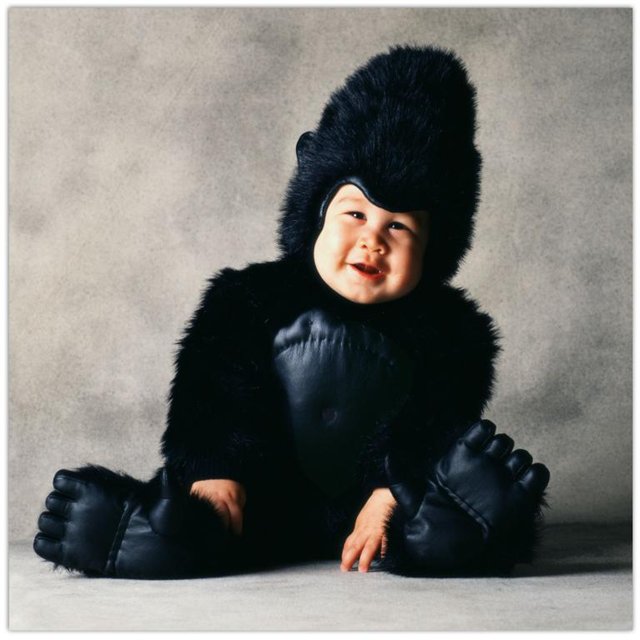 [bebe+gorila.jpg]