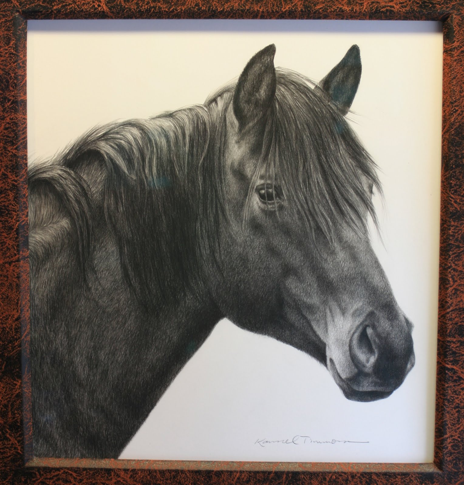 Karmel Timmons Equestrian Art In Pencil Blog
