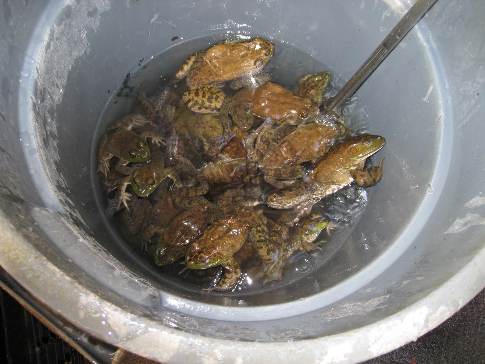 [IMG_0450.JPG]