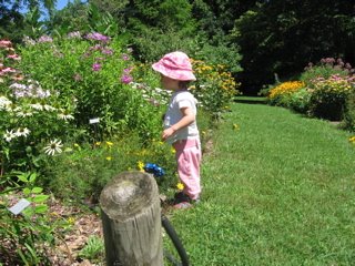 [Amelia+flowers.jpg]