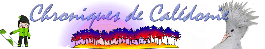 Chroniques de Nouvelle Caledonie
