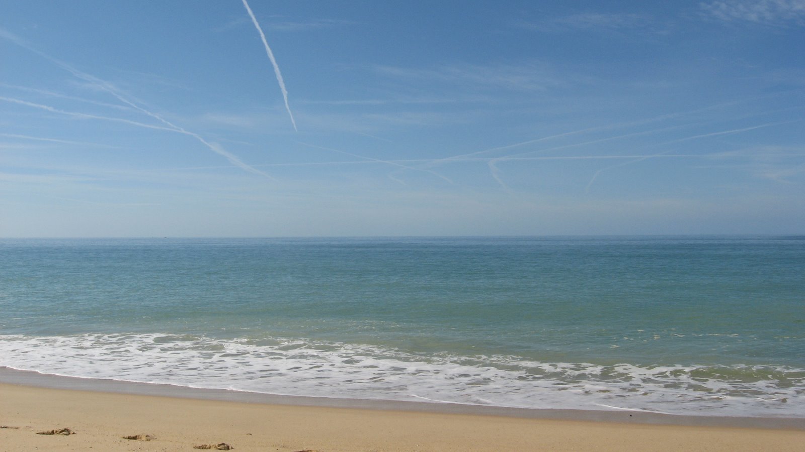 [IMG_2634.JPG]