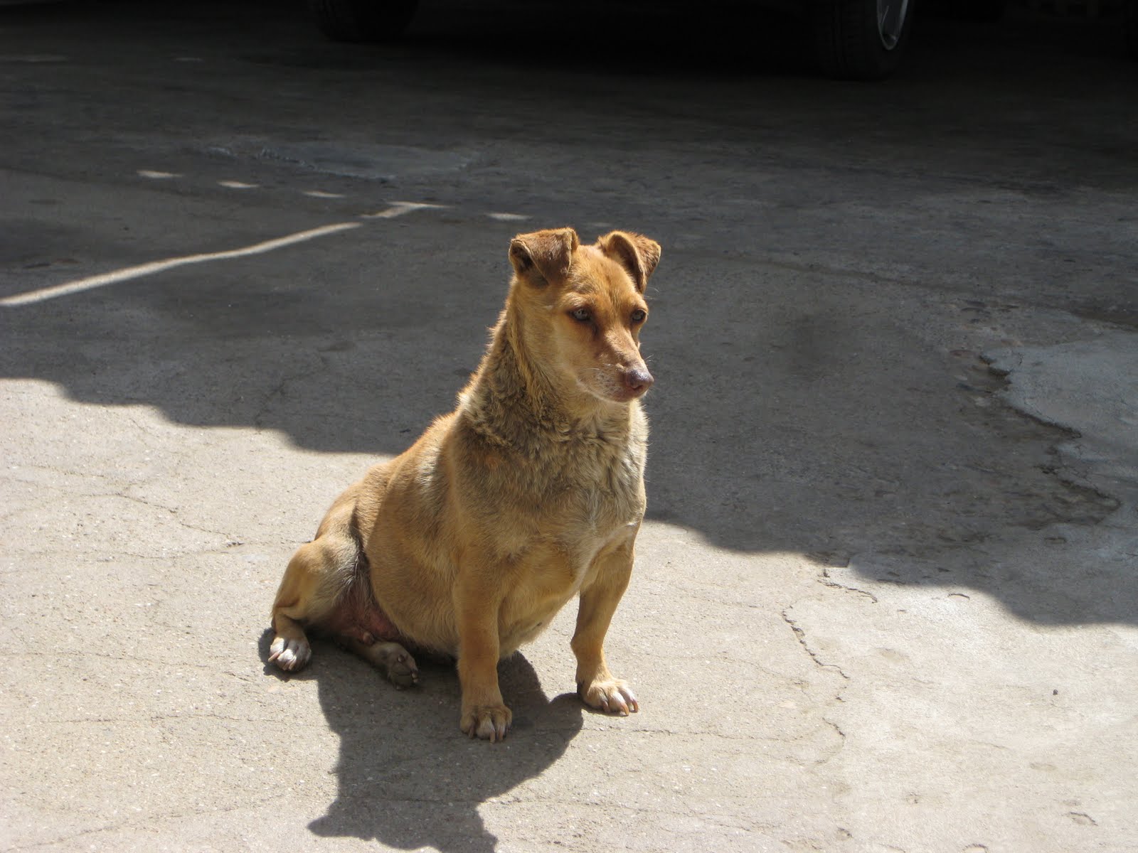[IMG_1421.JPG]