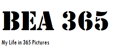 Bea365
