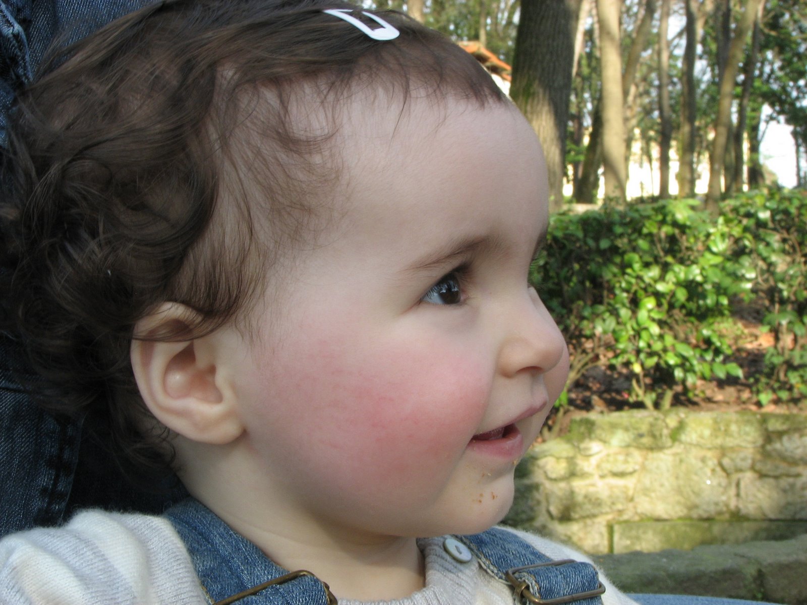 [IMG_8753.JPG]