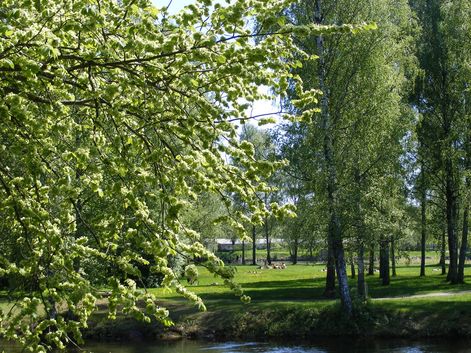 [DSCF1553.JPG]