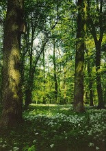 Ana Cañas - Esconderijo ♫