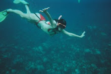 Hicran Cigdem Yorgancioglu  Bahama Caribbean Diving