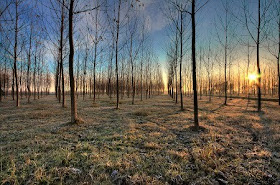 il calore del primo sole