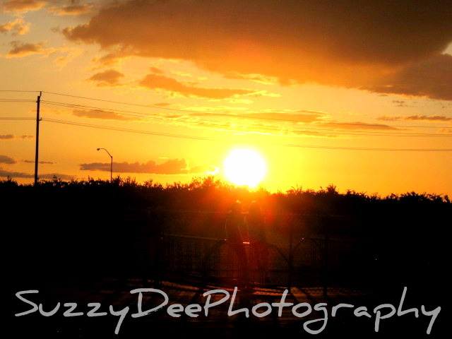 Suzzy Dee Photography