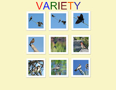 VARIETY