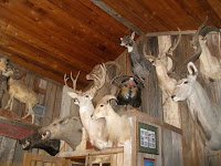 YO Ranch, Texas YO Ranch, Texas