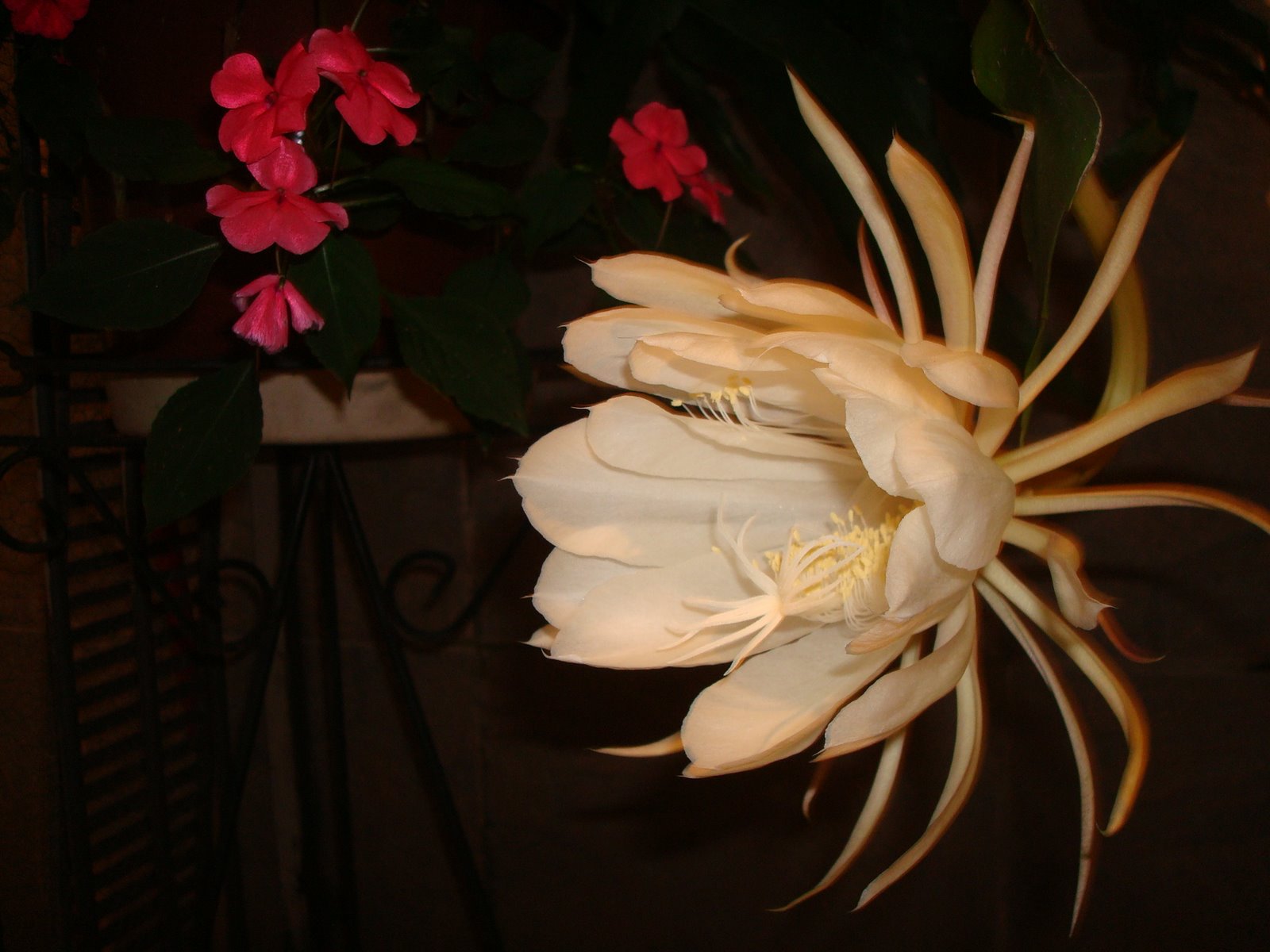 [DSC05300.JPG]