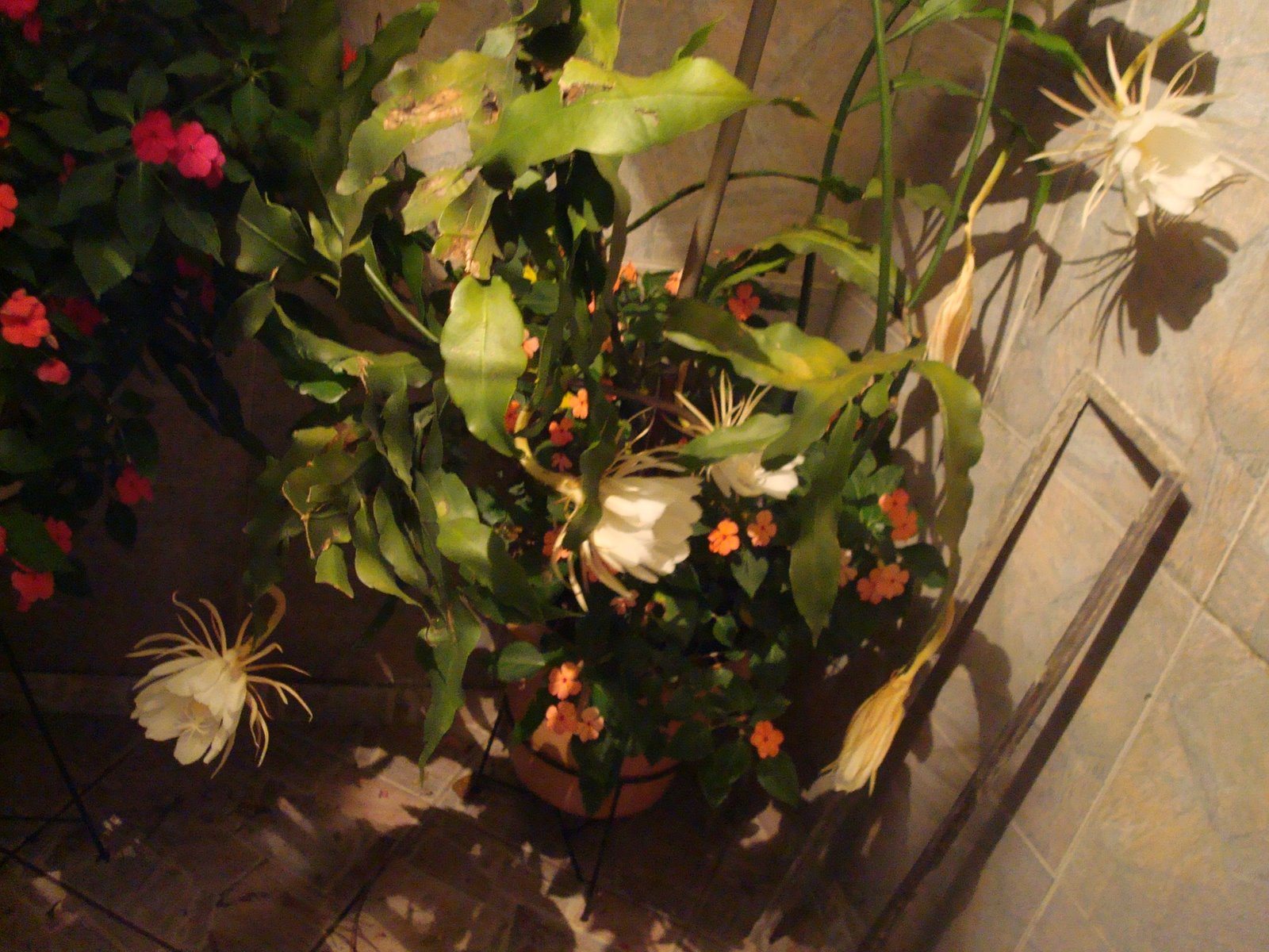 [DSC05305.JPG]