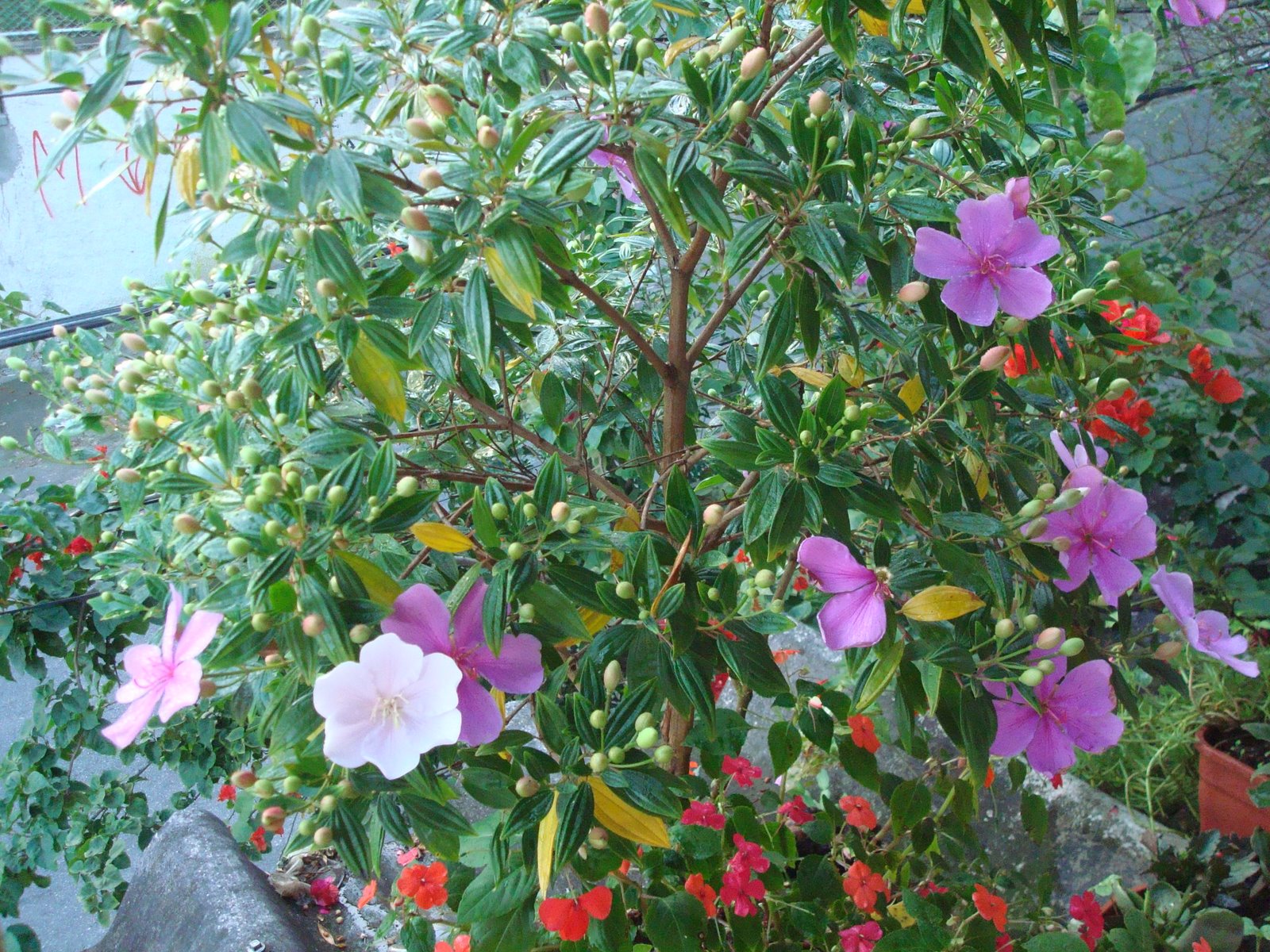 [DSC05476.JPG]