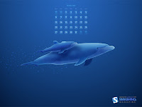 october08-dolphins-calendar-1024x768.jpg october08-dolphins-calendar-1024x768.jpg