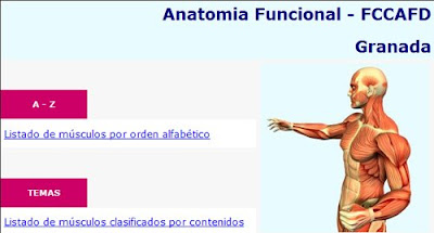 Programa de anatomía funcional músculo esquelético de la Universidad de Granada Programa de anatomía funcional músculo esquelético de la Universidad de Granada
