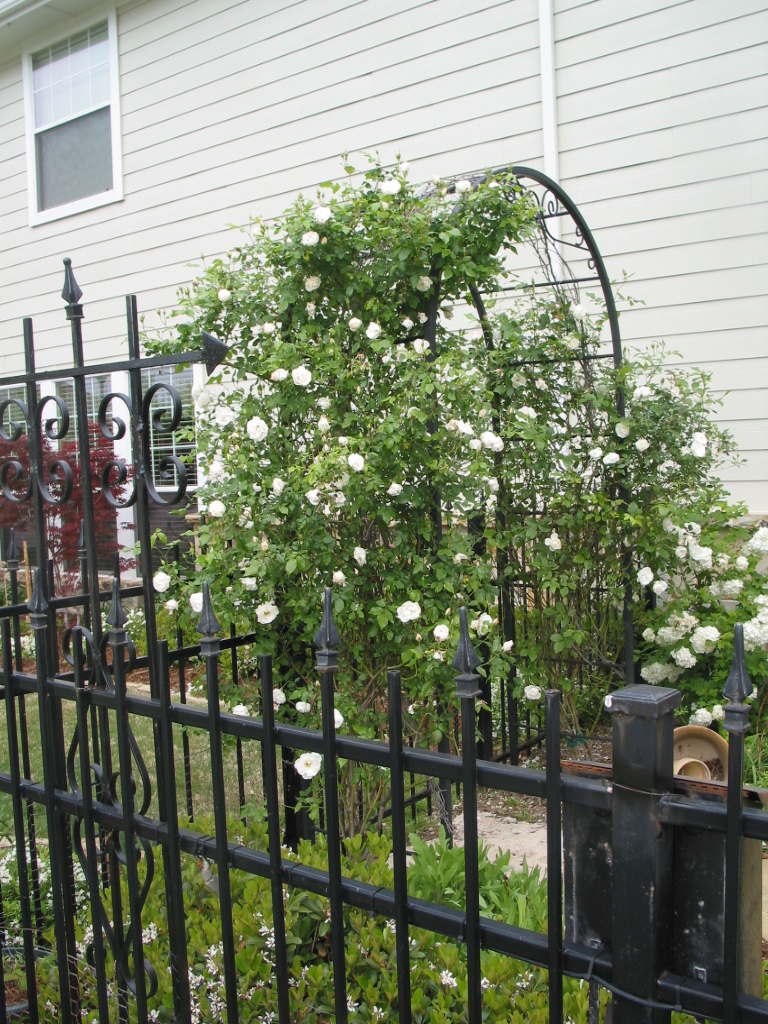 [Spring+2007+004.jpg]